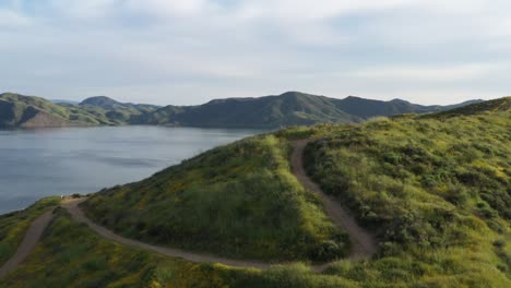 Drone-shot-of-mountain-top-covered-in-yellow-wildflowers-and-green-grass-with-large-reservoir-lake-in-the-background-during-the-California-super-bloom