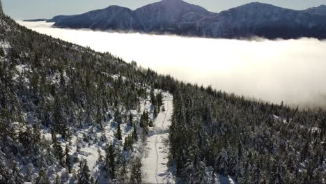 pistas aéreas con raquetas de nieve en la isla de vancouver, canadá