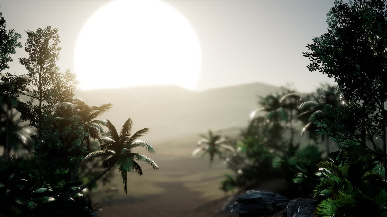 palmeras de coco paisaje tropical