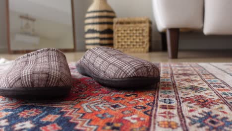 slippers on a colorful rug in a living room