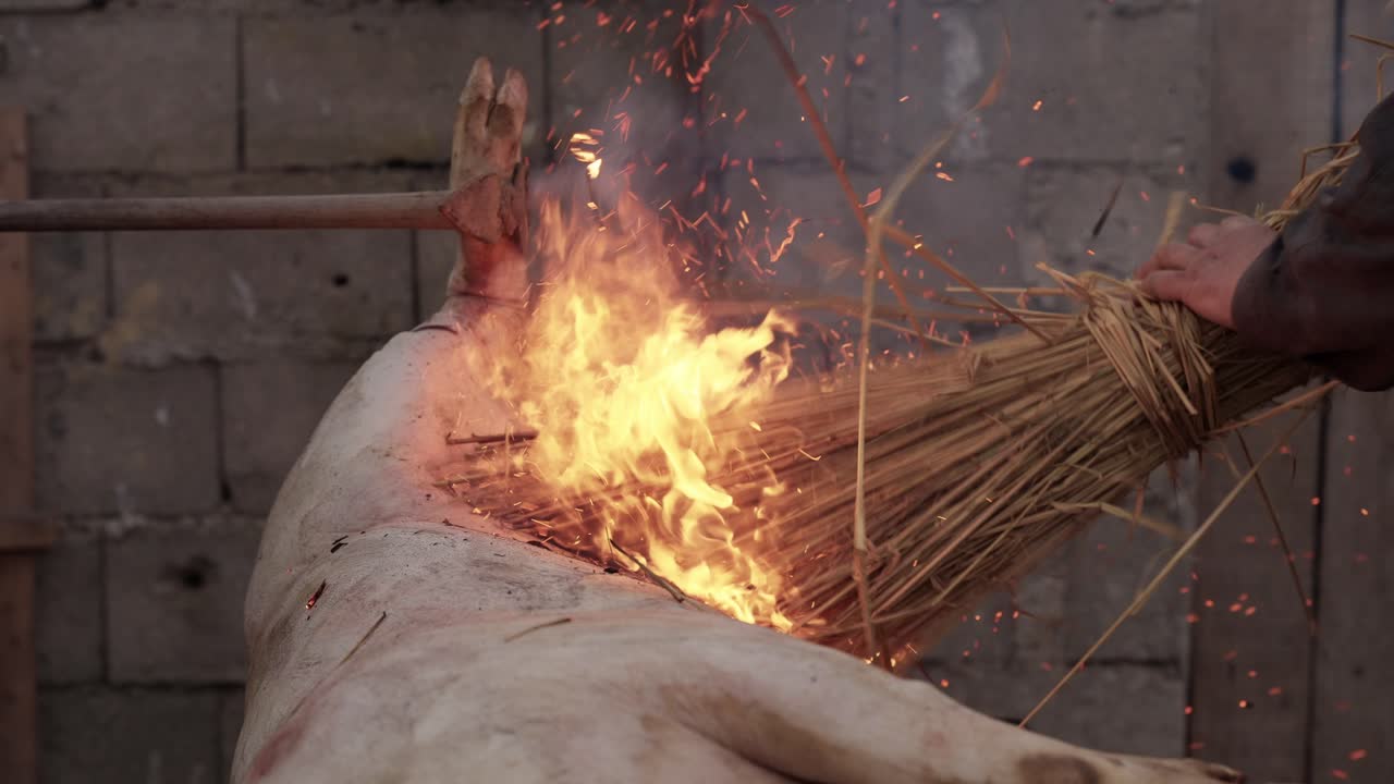 Burning straw used to scorch pig during butchering in Minho region Portugal
