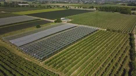 vista aérea de una granja agrícola que utiliza un sistema agrivoltaico - toma de un dron