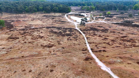 people at the path where water used to flow. drone footage over the dry area approaching the little pond surrounded by the forests.