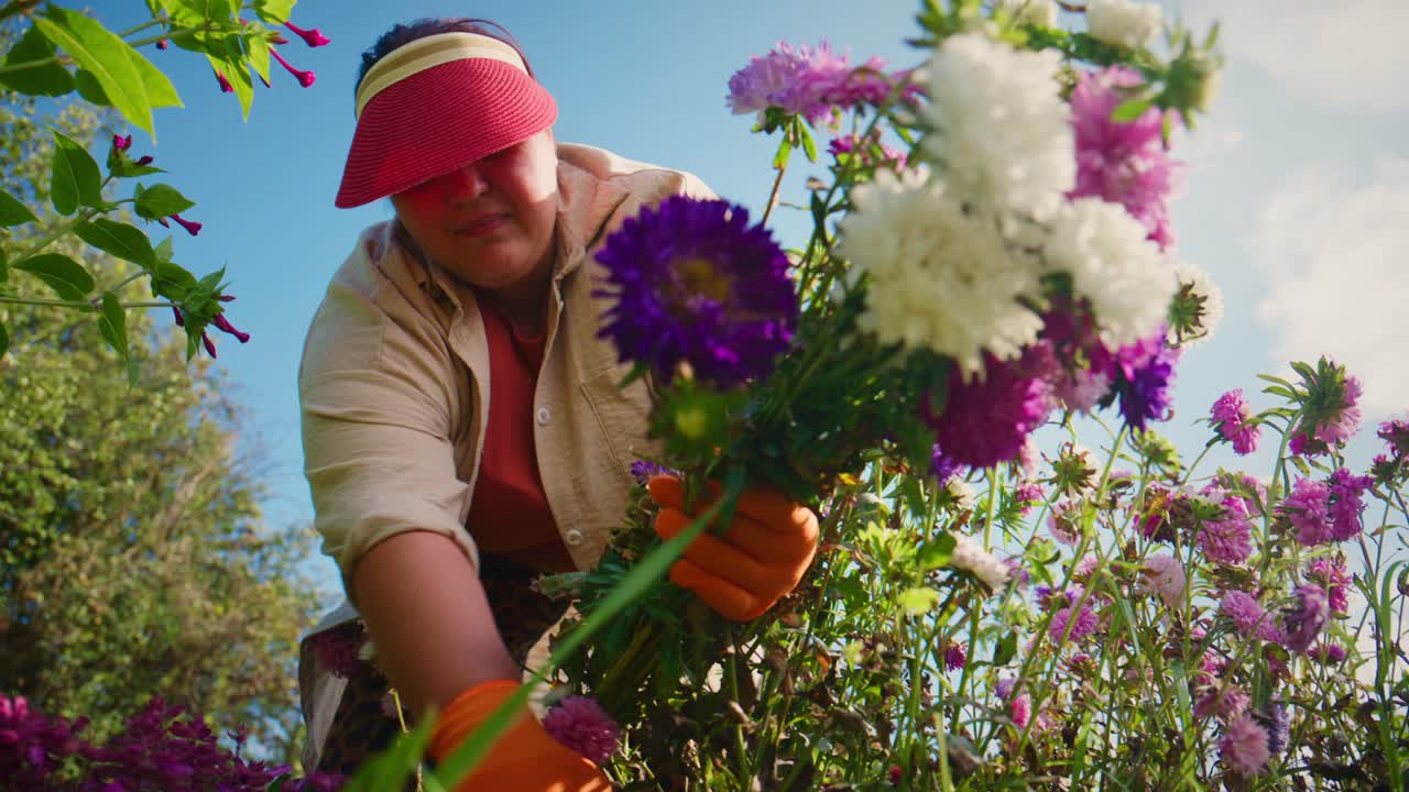 Giardiniera che coltiva fiori vivaci in una giornata di sole, appassionata di natura e tecniche di giardinaggio mentre crea una splendida composizione floreale nel suo giardino