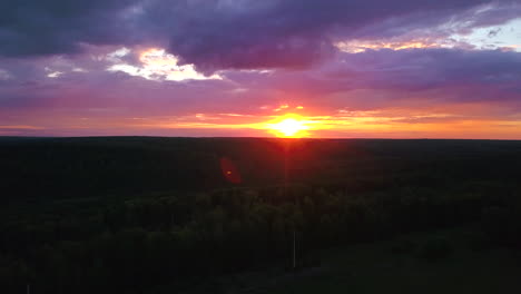 sunset over the forest