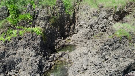 Pools-in-rock-island-with-palm-trees-near-tropical-Costa-Rica-coast