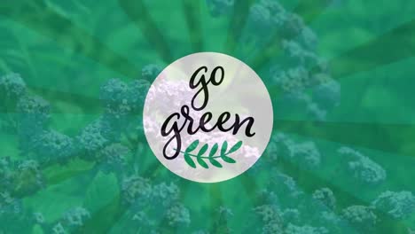 animación de texto verde en círculo blanco con tallo de hoja sobre un primer plano de flores.