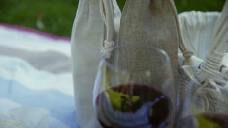 the girl is preparing for a picnic