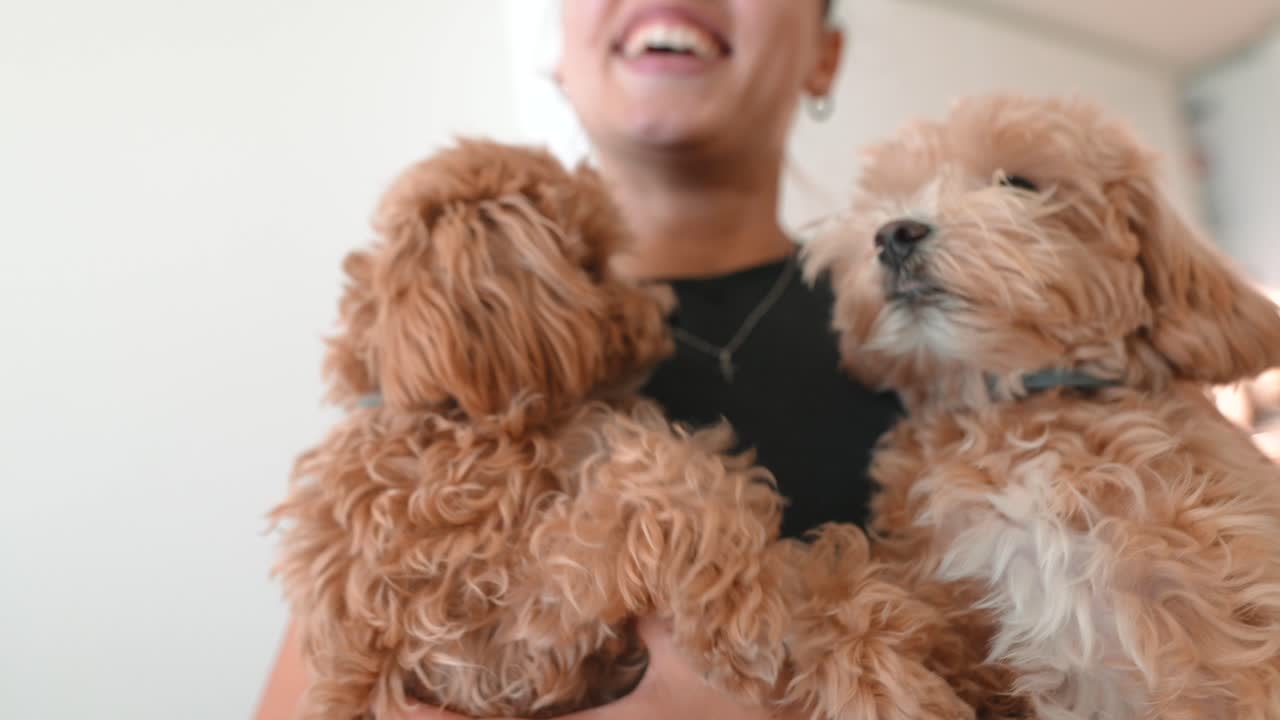 Giovane donna che tiene in braccio due adorabili cuccioli soffici