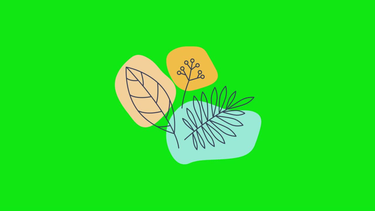 video en 4k de un patrón floral de dibujos animados sobre un fondo verde.