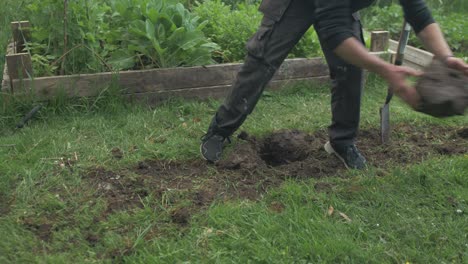 young man removes big rock from garden