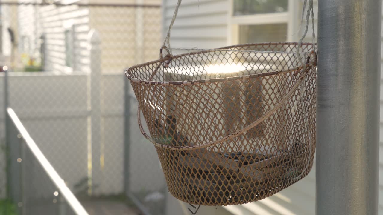 A Old Hanging Basket 4K.