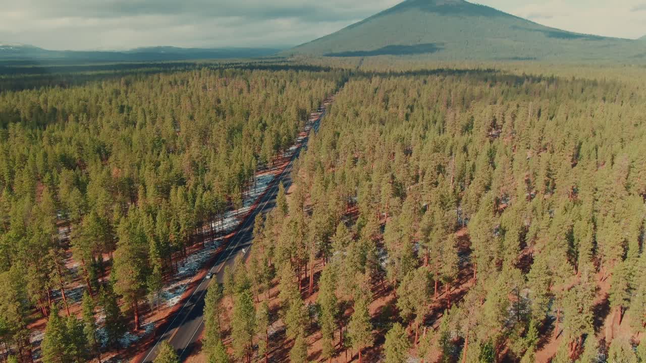 carretera rural aérea de 4k rodeada de árboles de hoja perenne y montaje en la parte trasera del camión aéreo a la izquierda