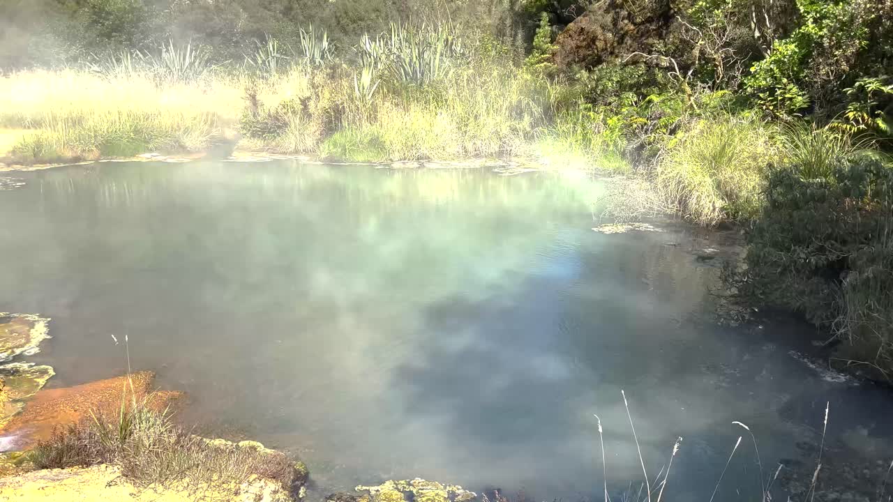 Dampende varme pools og kilder, høje bjergomgivelser, Copland Track, New Zealand