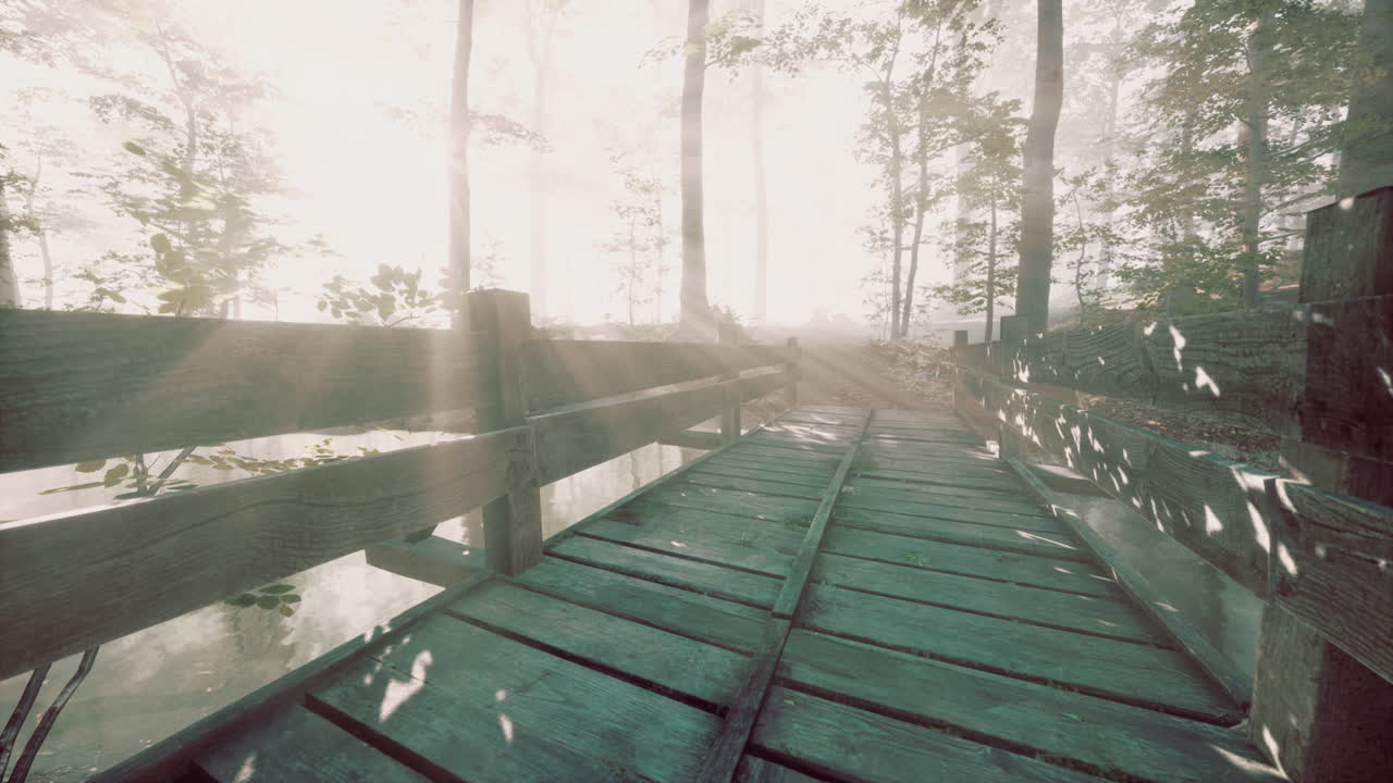 흐린 신비로운 숲으로 강을 가로지르는 목조 다리
