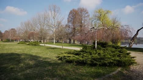 shot of trees and alley