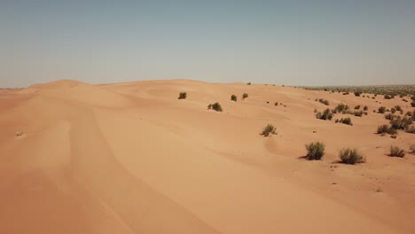 low drone shot of the sahara desert moving close to the dunes