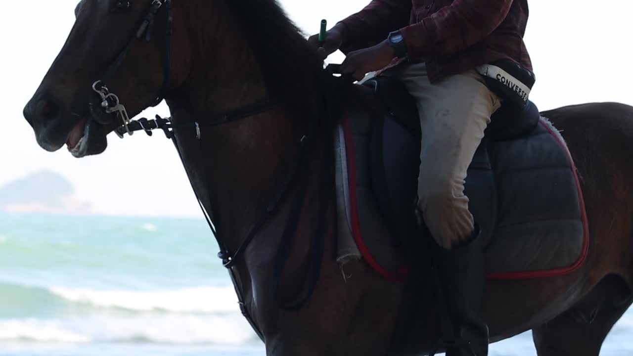 Vista laterale di un cavallo e un cavaliere che si muovono su una spiaggia con le onde