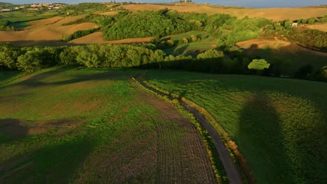 aérea con poca luz sobre el paisaje típico de la toscana cerca de pienza, provincia de siena, italia