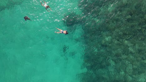 aerial view of woman's snorkeling in a beautiful clear water over a reef in the bahamas