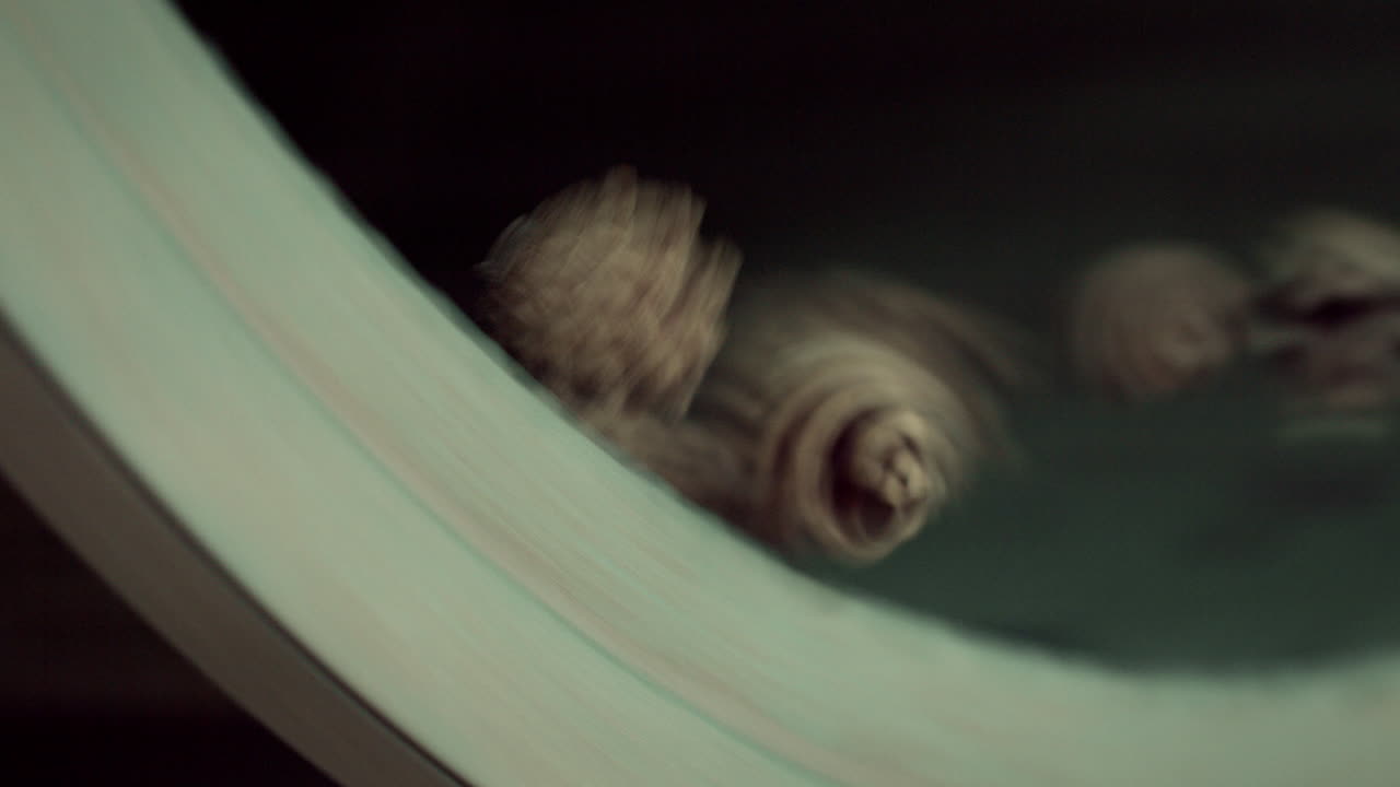 Cones fall out from cylinder during process of purification and extraction of seeds