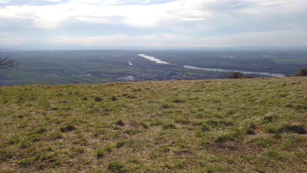 un árbol solitario en la cima de una montaña, rodeado de naturaleza y el horizonte azul como testigo