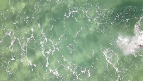 Swimming-Sea-Ocean-Aerial-View