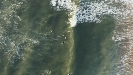 4k footage - aerial - drone view of surfers waiting for the waves coming in