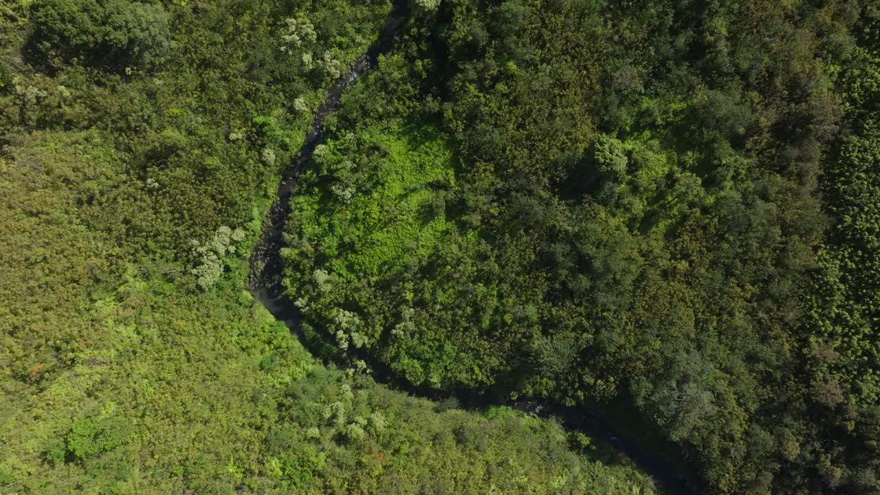 río seco en verde paisaje montañoso de hawai a la luz del sol, aérea por encima