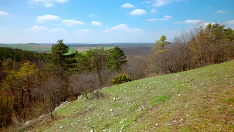 Wiese-Rocky-Mountains-Auf-Dem-Wanderweg-Pisten