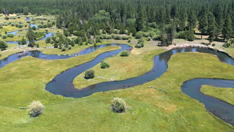 beautiful crooked river kayaking in clam waters of southern oregon