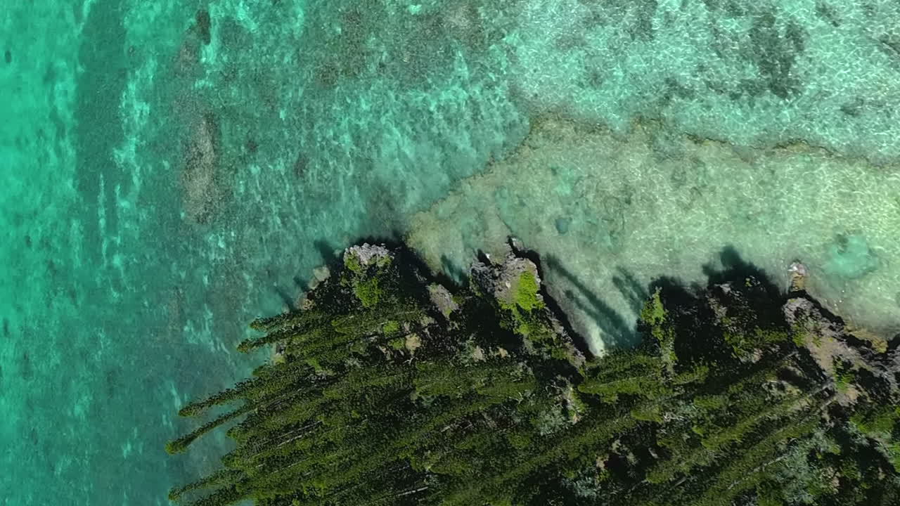 vista en línea recta de la costa a lo largo de la isla o pinos luego se inclina hacia arriba para revelar el impresionante paisaje - vertical aérea
