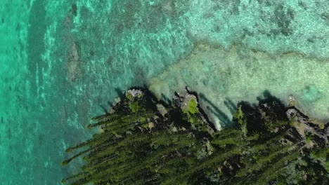 straight down view of the coastline along the isle or pines then tilt up to reveal the stunning landscape - vertical aerial