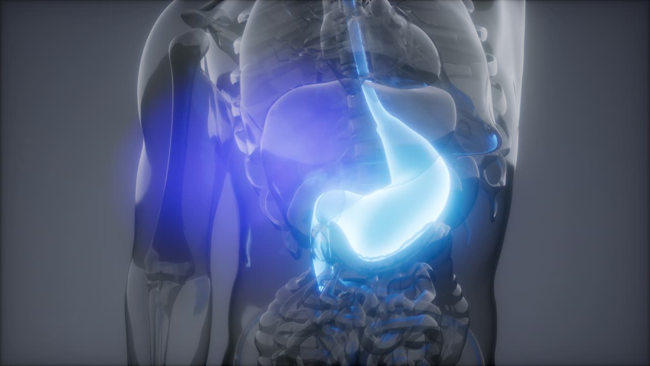 Esame radiologico dello stomaco umano