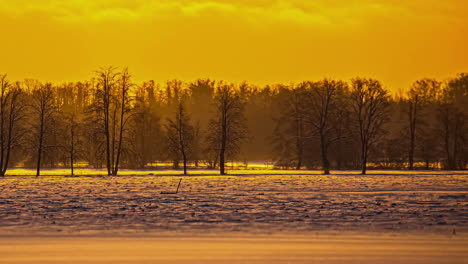 Zeitrafferaufnahme-Des-Goldenen-Himmels-Am-Abend-Auf-Schneebedeckten-Landwirtschaftlichen-Feldern