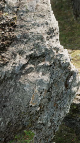 close-up view of rocks and moss