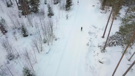 aerial, drone shot of high speed professional cross-country skiing in finland