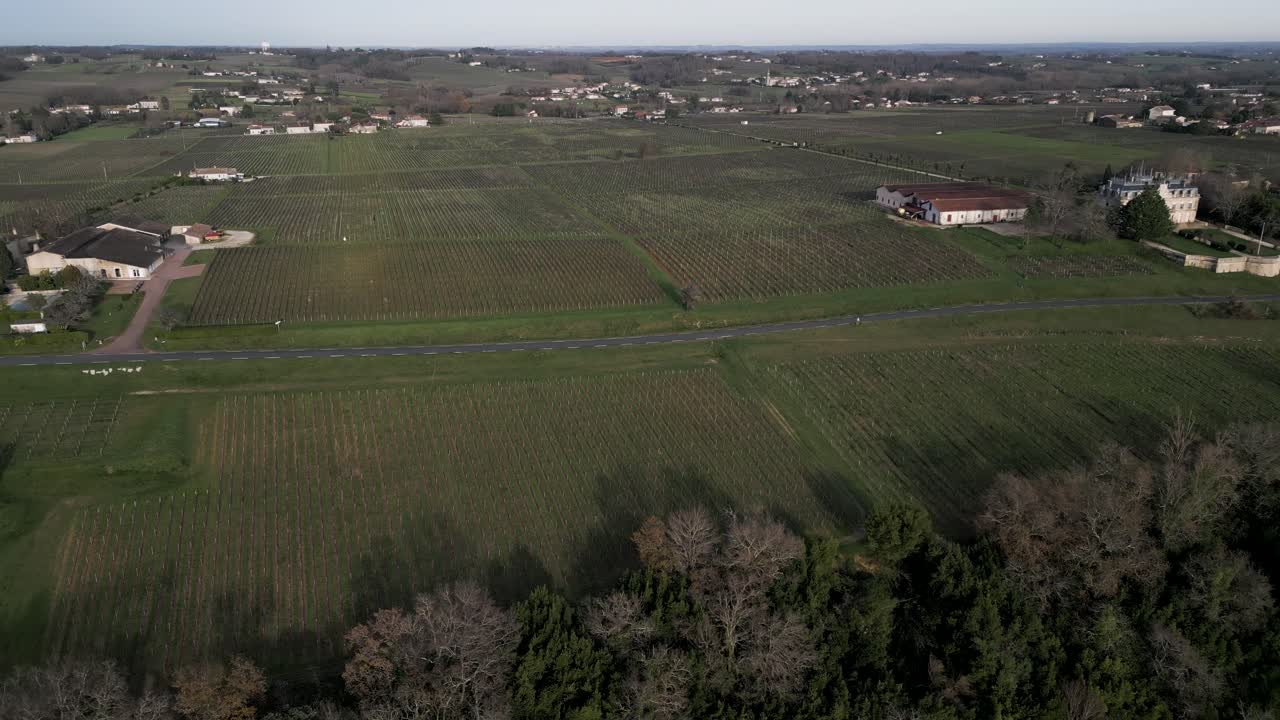 hileras de viñedos verdes por bayon-sur-gironde, francia - desde el aire