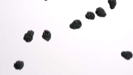 blackberries falling in slow motion on white studio backdrop in 4k