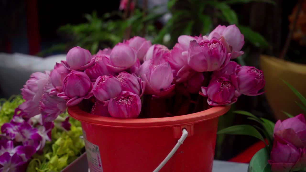 Colorful vivid Pink flowers from a botanical garden in Thailand. Flowers for monks