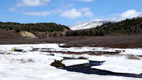 mountain river valley in the spring seamless loop