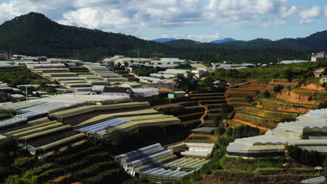 da lat greenhouse in vietnam. tilt down