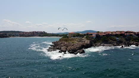 a flying seagull chases a drone off the coast of bulgaria