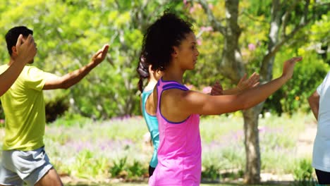 Group-of-people-exercising-in-the-park-4k