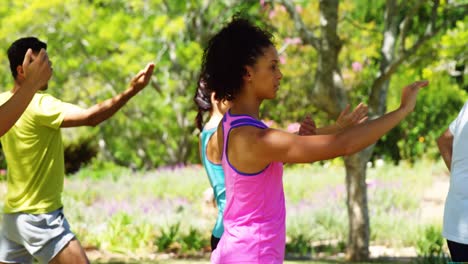 group of people exercising in the park 4k