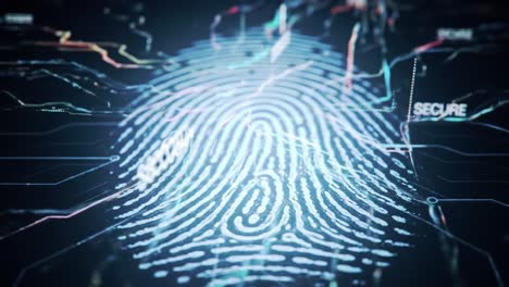 innovations in biometric security are showcased through detailed visualizations of fingerprint recognition systems. this technology enhances security measures in various applications and industries.