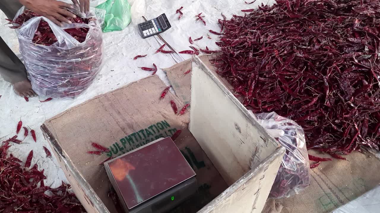 The pepper seller of dry red chilies is weighing the packets of red chilies. with digital scales