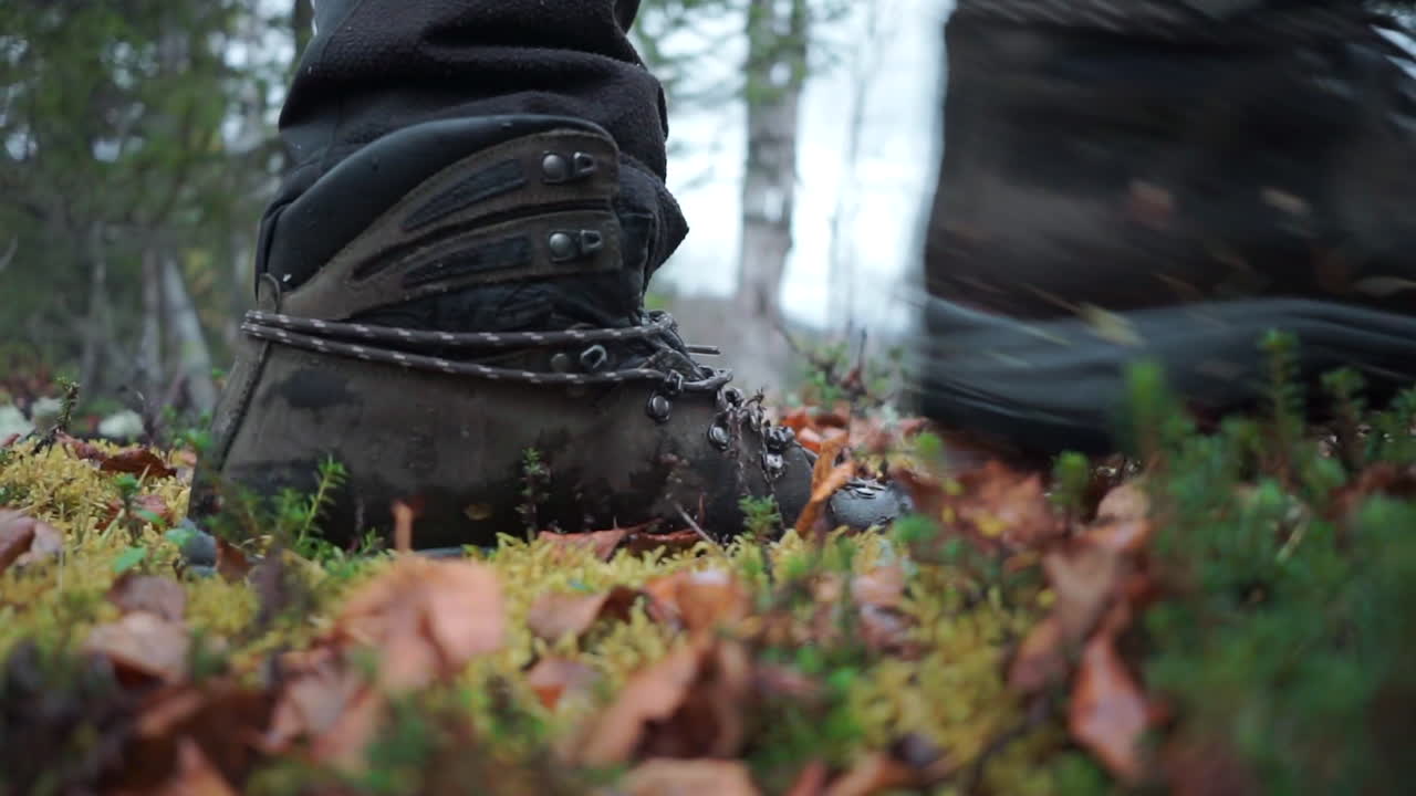 botas de senderismo en el bosque de otoño