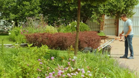 lawn mower cutting the grass. gardening activity. cutting grass with petrol driven lawn mower in sunny garden. gardener working with  mower machine in the garden. lawn mower cutting green grass