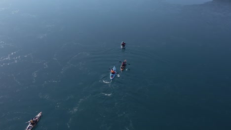 kayak trip in blue water of iceland fjord, paddling towards holmanes peninsula, aerial